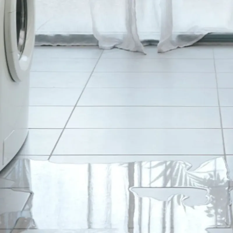 Appliance Leak Cleanup in Hays County, TX