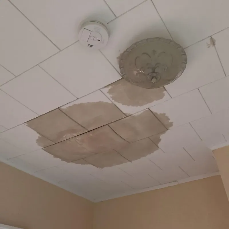 Ceiling Water Damage Repair in Hays County, TX