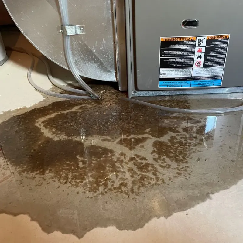 Pipe Burst and Leak Restoration in Hays County, TX